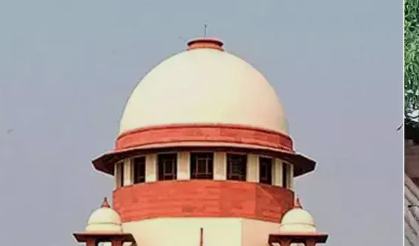 बुलडोजर