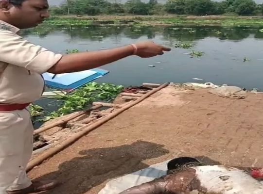 सिदगोड़ा